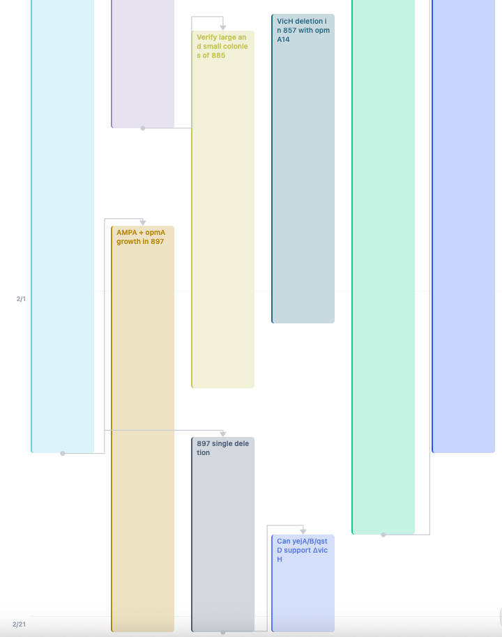 Lab Notes timeline and export preview