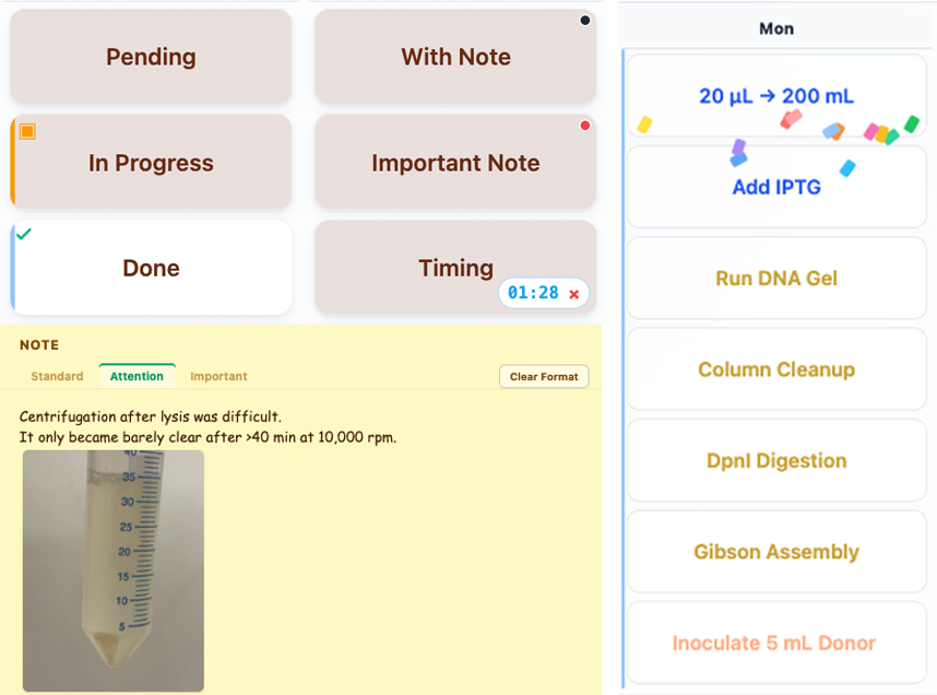 Cell Planner detailed state controls preview